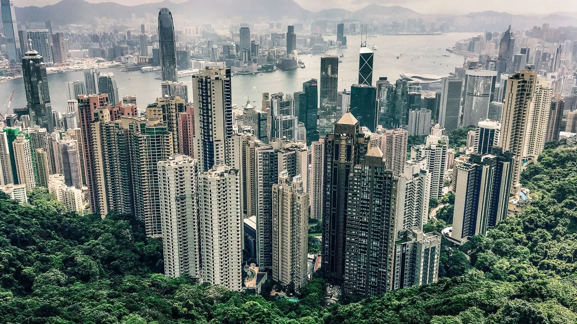 bulk purchase strategy